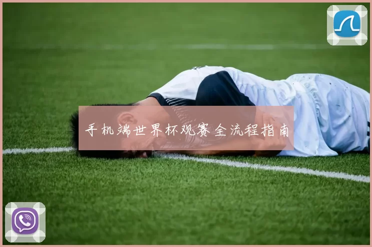 手机端世界杯观赛全流程指南