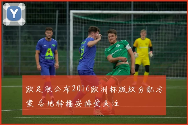 欧足联公布2016欧洲杯版权分配方案 各地转播安排受关注