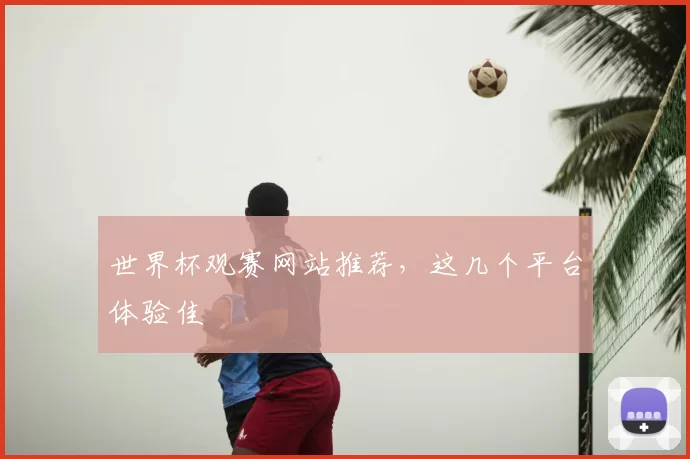 世界杯观赛网站推荐，这几个平台体验佳