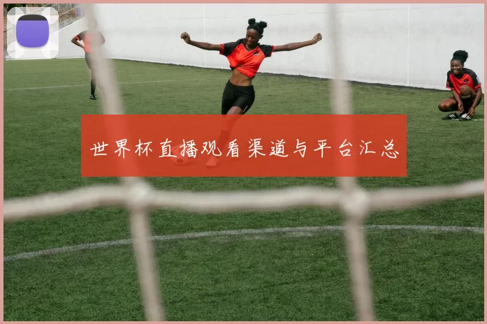 世界杯直播观看渠道与平台汇总