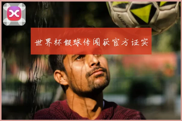 世界杯假球传闻获官方证实