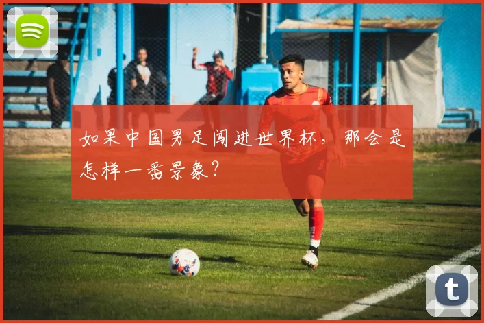 如果中国男足闯进世界杯,那会是怎样一番景象?