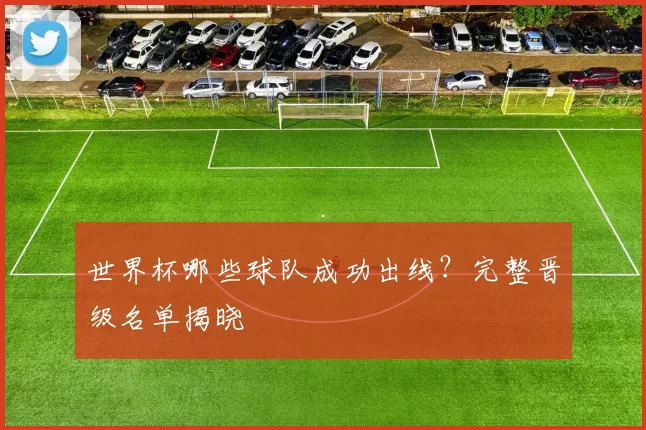 世界杯哪些球队成功出线？完整晋级名单揭晓