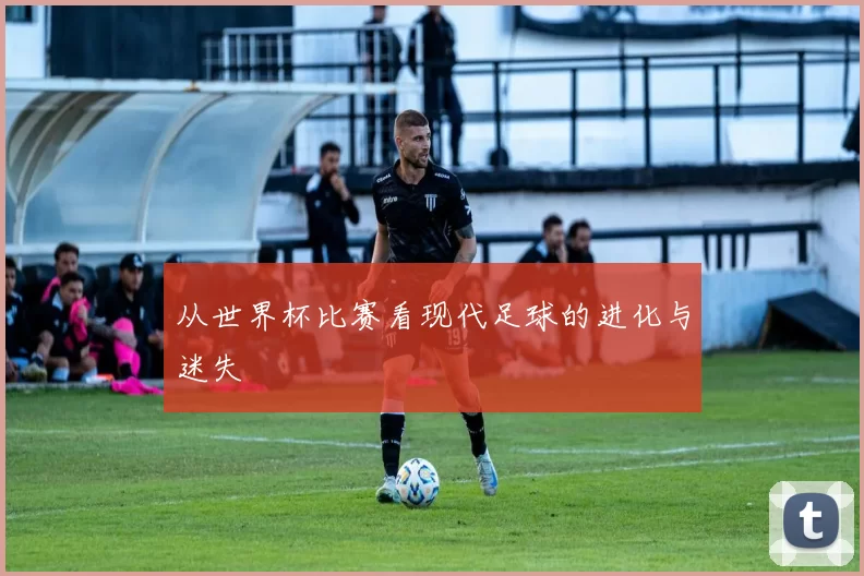 从世界杯比赛看现代足球的进化与迷失