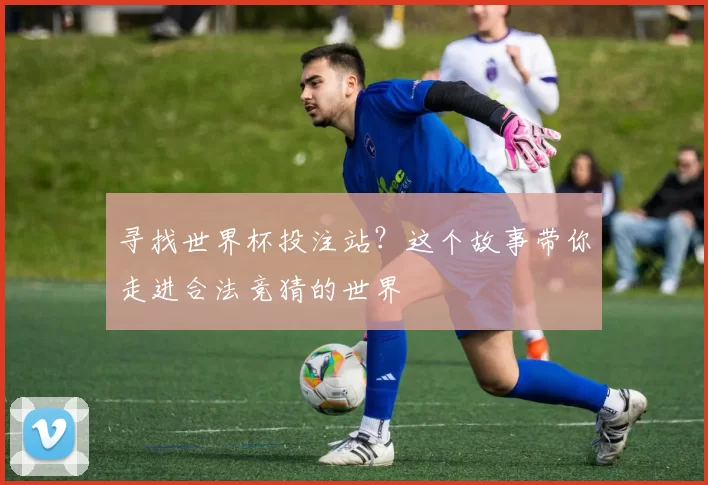 寻找世界杯投注站?这个故事带你走进合法竞猜的世界