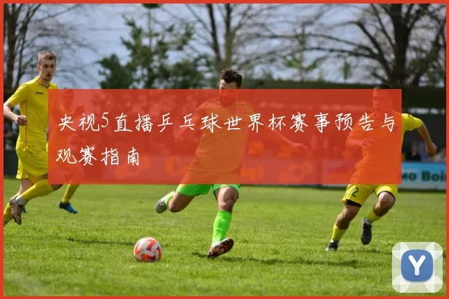 央视5直播乒乓球世界杯赛事预告与观赛指南