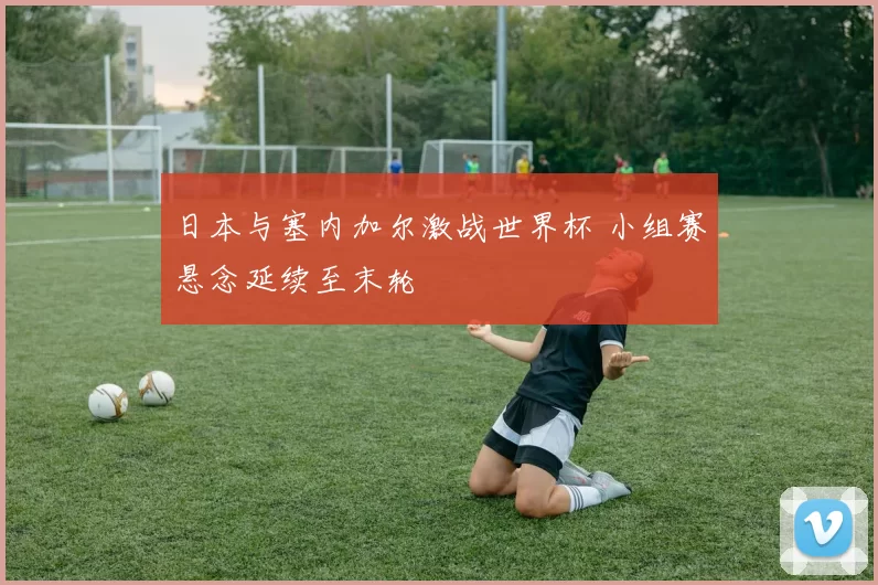 日本与塞内加尔激战世界杯 小组赛悬念延续至末轮