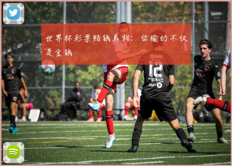 世界杯彩票赔钱真相：你输的不仅是金钱