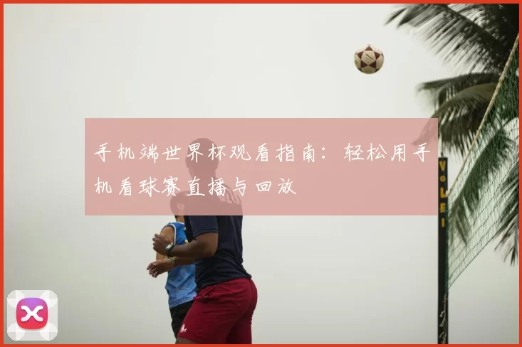 手机端世界杯观看指南:轻松用手机看球赛直播与回放