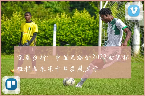 深度分析:中国足球的2022世界杯征程与未来十年发展启示