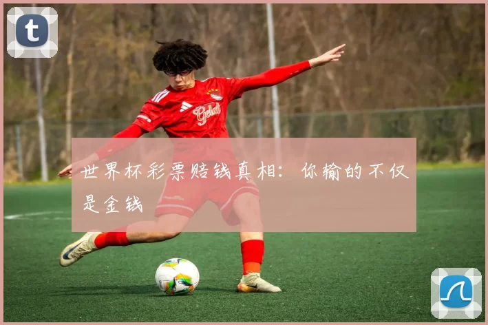 世界杯彩票赔钱真相:你输的不仅是金钱