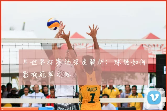 年世界杯赛场深度解析:球场如何影响冠军之路