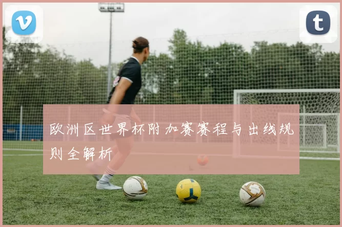 欧洲区世界杯附加赛赛程与出线规则全解析